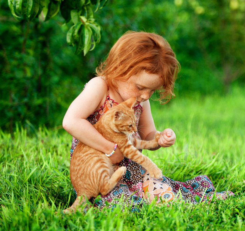 Little girl playing with pet cat outdoors in the garden. Countryside view. Happy kid is sitting on the green grass in summer day